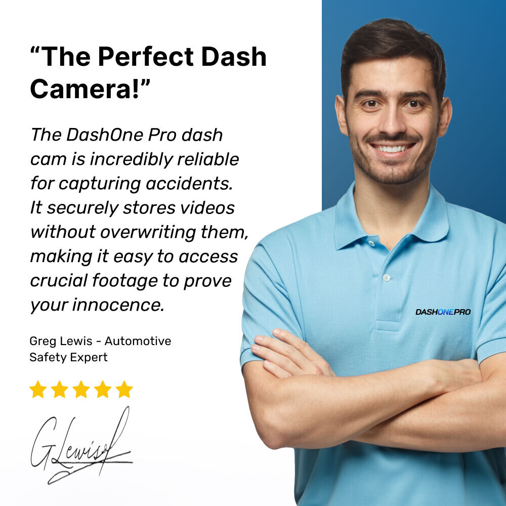 DashOne Pro image